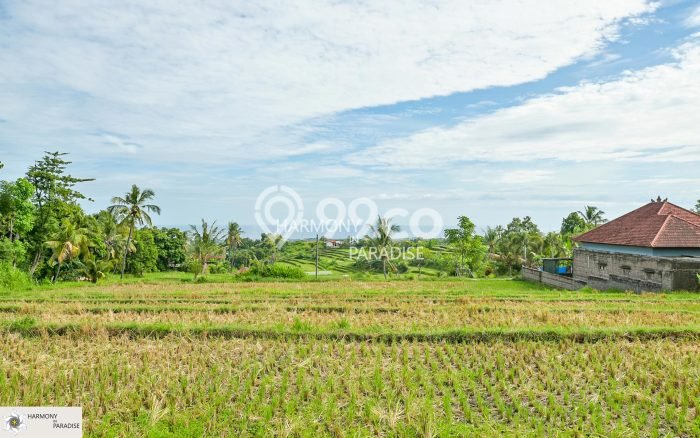Tanah Dijual di Buleleng Seluas 4700m2 Strategis Tanah Dijual di Buleleng Seluas 4700m2 Strategis