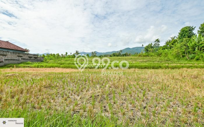 Tanah Dijual di Buleleng Seluas 4700m2 Strategis Tanah Dijual di Buleleng Seluas 4700m2 Strategis