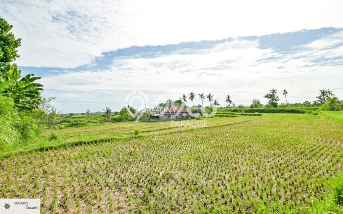 Tanah Dijual di Buleleng Seluas 4700m2 Strategis Tanah Dijual di Buleleng Seluas 4700m2 Strategis