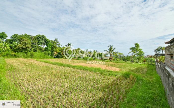 Tanah Dijual di Buleleng Seluas 4700m2 Strategis Tanah Dijual di Buleleng Seluas 4700m2 Strategis