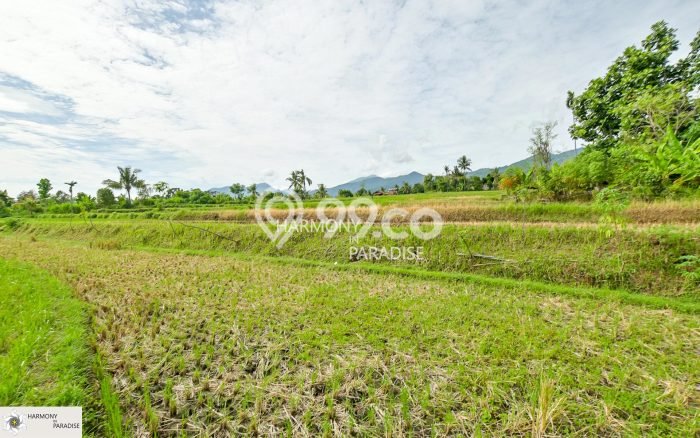 Tanah Dijual di Buleleng Seluas 4700m2 Strategis Tanah Dijual di Buleleng Seluas 4700m2 Strategis
