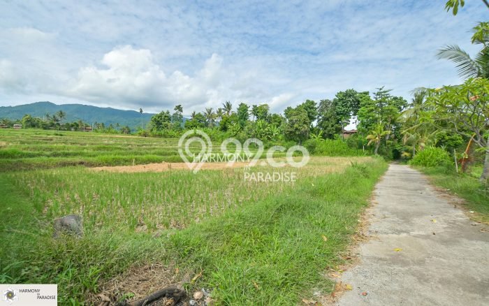 Tanah Dijual di Buleleng Seluas 4700m2 Strategis Tanah Dijual di Buleleng Seluas 4700m2 Strategis