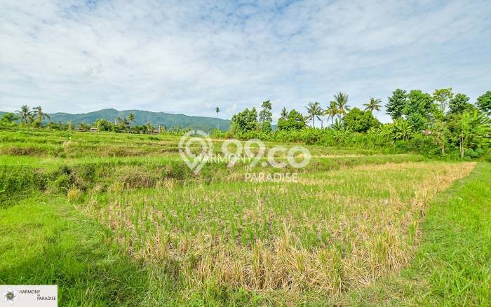 Tanah Dijual di Buleleng Seluas 4700m2 Strategis Tanah Dijual di Buleleng Seluas 4700m2 Strategis