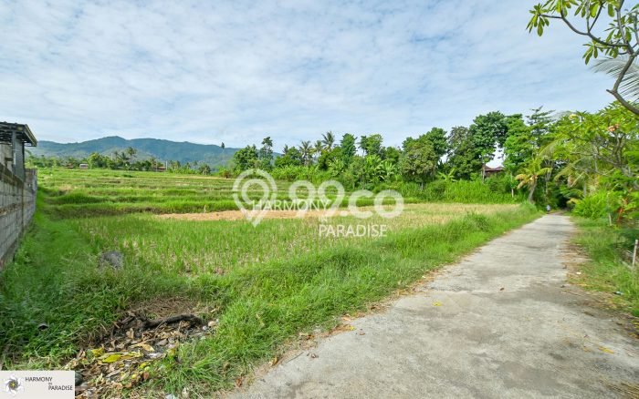 Tanah Dijual di Buleleng Seluas 4700m2 Strategis Tanah Dijual di Buleleng Seluas 4700m2 Strategis