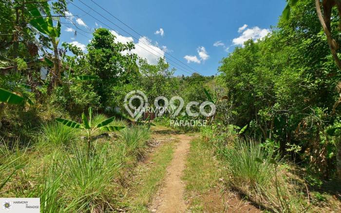 Tanah Investasi Dijual di Buleleng Punya Luas 3300m2 Tanah Investasi Dijual di Buleleng Punya Luas 3300m2