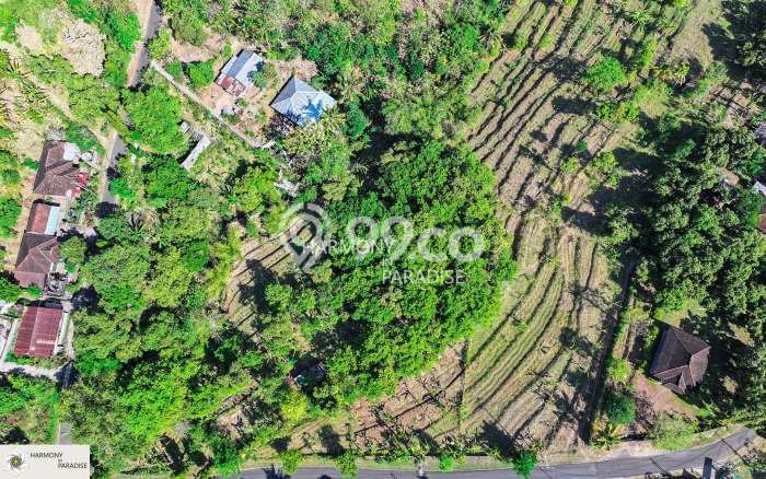 Tanah Investasi Dijual di Buleleng Punya Luas 3300m2 Tanah Investasi Dijual di Buleleng Punya Luas 3300m2