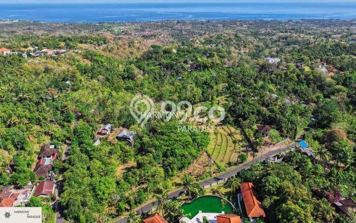 Tanah Investasi Dijual di Buleleng Punya Luas 3300m2 Tanah Investasi Dijual di Buleleng Punya Luas 3300m2