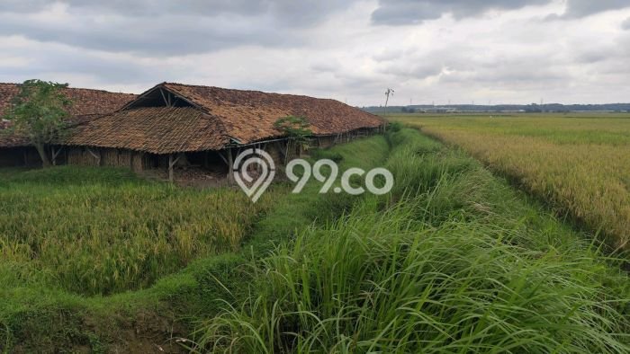 Lahan Investasi Lokasi Cibarusah Bekasi SHM Lahan Investasi Lokasi Cibarusah Bekasi SHM