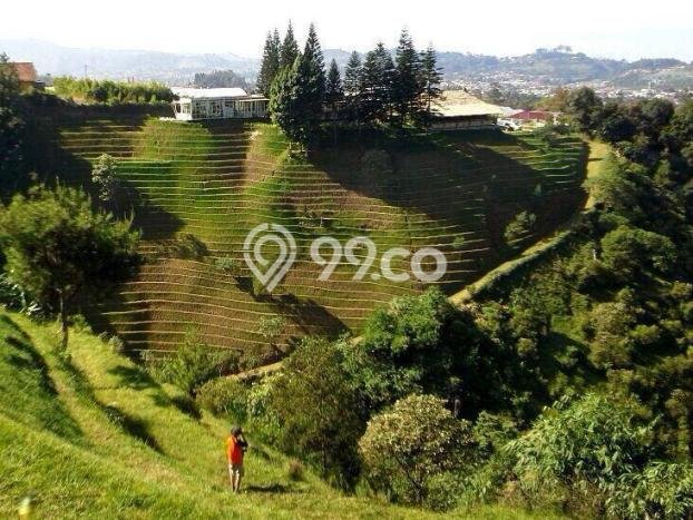 Lahan Kosong Dijual di Lembang, Bandung Barat, Luas 100000m2 Area Strategis Lahan Kosong Dijual di Lembang, Bandung Barat, Luas 100000m2 Area Strategis