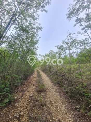 Tanah Premium di Labuan Bajo, Luas 12336m², Cocok untuk Investasi Tanah Premium di Labuan Bajo, Luas 12336m², Cocok untuk Investasi