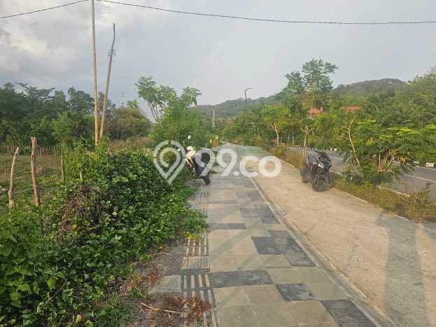 Tanah Kawasan Labuan Bajo, Luas 6767m², Akses Labuan Bajo, Manggarai Barat, Manggarai Barat Tanah Kawasan Labuan Bajo, Luas 6767m², Akses Labuan Bajo, Manggarai Barat, Manggarai Barat