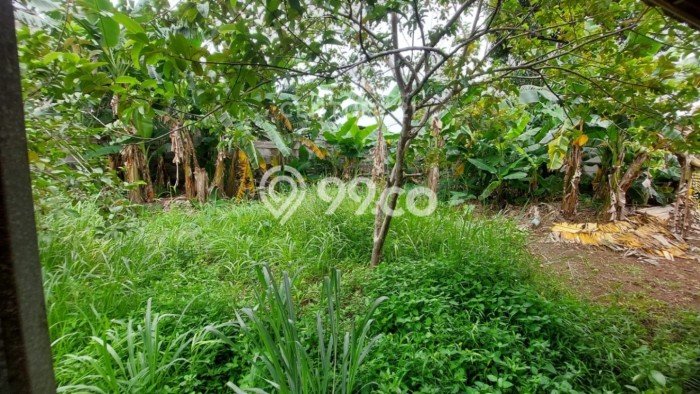 Tanah Kavling Dijual di Bintaro, Tangerang Selatan dengan Luas Tanah 1685m2 Tanah Kavling Dijual di Bintaro, Tangerang Selatan dengan Luas Tanah 1685m2