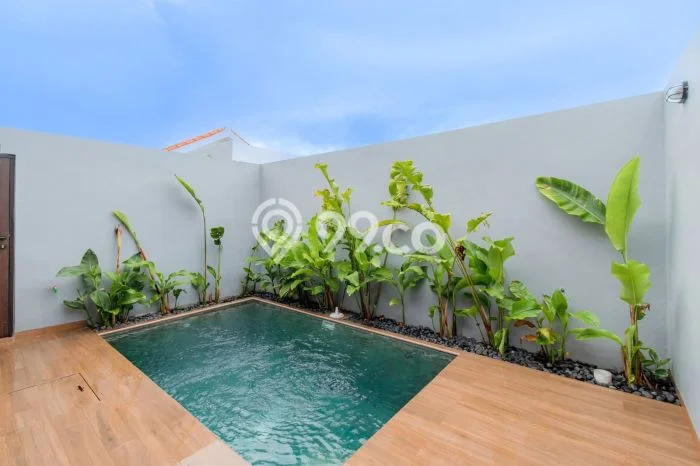 Vila Disewakan di Canggu, Area 0m2m², Lokasi Premium, Harga Terjangkau Vila Disewakan di Canggu, Area 0m2m², Lokasi Premium, Harga Terjangkau