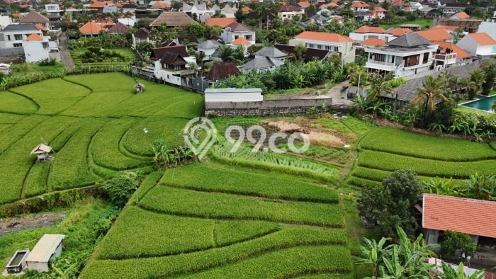 Vila Kawasan , Area 0m2m², Akses Mudah Badung, Badung, Harga Terjangkau Vila Kawasan , Area 0m2m², Akses Mudah Badung, Badung, Harga Terjangkau