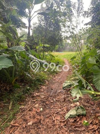 Tanah di Parung, Bogor Luas 2142m2 Dijual Segera Tanah di Parung, Bogor Luas 2142m2 Dijual Segera
