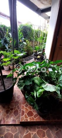 Hunian Mewah LB 250m2 Siap Huni Desain Elegan di Ciateul, Bandung Hunian Mewah LB 250m2 Siap Huni Desain Elegan di Ciateul, Bandung