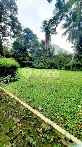 Rumah Luxury Modern Siap Huni di Kemang Jakarta Selatan Rumah Luxury Modern Siap Huni di Kemang Jakarta Selatan