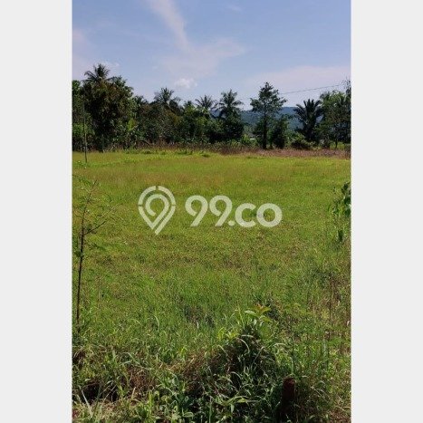 Kavling Tanah di Leuwisadeng Dijual Luas 1400m2 Legalitas SHM Kavling Tanah di Leuwisadeng Dijual Luas 1400m2 Legalitas SHM