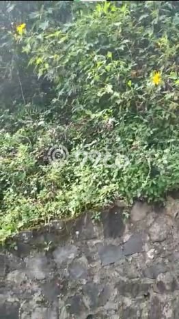 Tanah untuk Dijual Lokasi Sidorejo, Salatiga Luas 402m2 SHM Tanah untuk Dijual Lokasi Sidorejo, Salatiga Luas 402m2 SHM