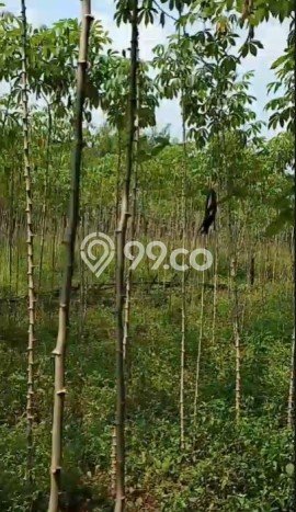 Tanah Kavling Dijual di Cibogo, Tangerang dengan Luas Tanah 4000m2 Tanah Kavling Dijual di Cibogo, Tangerang dengan Luas Tanah 4000m2