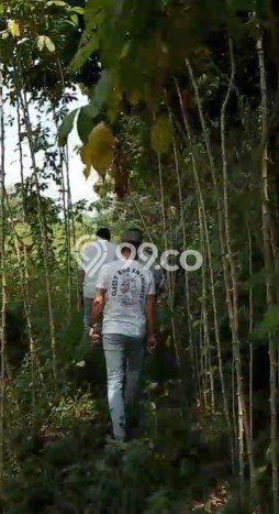 Tanah Kavling Dijual di Cibogo, Tangerang dengan Luas Tanah 4000m2 Tanah Kavling Dijual di Cibogo, Tangerang dengan Luas Tanah 4000m2