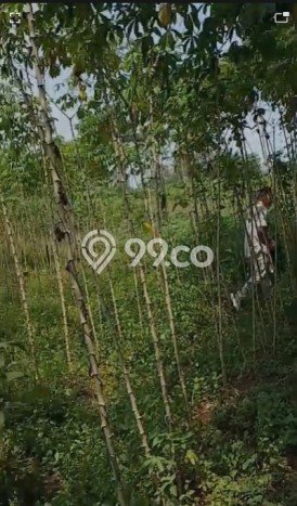 Tanah Kavling Dijual di Cibogo, Tangerang dengan Luas Tanah 4000m2 Tanah Kavling Dijual di Cibogo, Tangerang dengan Luas Tanah 4000m2