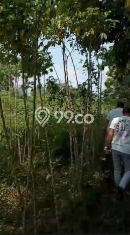 Tanah Kavling Dijual di Cibogo, Tangerang dengan Luas Tanah 4000m2 Tanah Kavling Dijual di Cibogo, Tangerang dengan Luas Tanah 4000m2