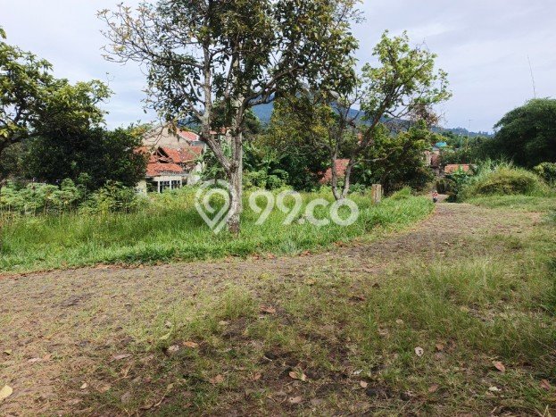 Tanah di Cileunyi, Bandung Luas 100m2 Dijual Segera Tanah di Cileunyi, Bandung Luas 100m2 Dijual Segera