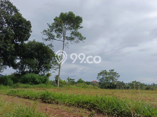 Tanah di Cileunyi, Bandung Luas 100m2 Dijual Segera Tanah di Cileunyi, Bandung Luas 100m2 Dijual Segera