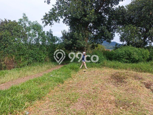 Tanah di Cileunyi, Bandung Luas 100m2 Dijual Segera Tanah di Cileunyi, Bandung Luas 100m2 Dijual Segera