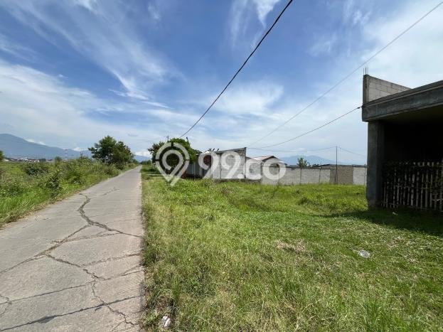 Jarang Ada! Tanah di Rancaekek Punya Luas 295m2 AJB Jarang Ada! Tanah di Rancaekek Punya Luas 295m2 AJB