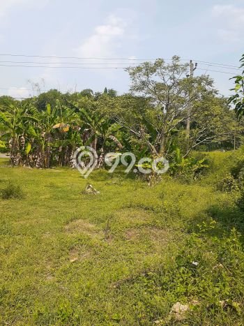 Tanah Kawasan Sidoharjo, Luas 25000m2m², Akses Sidoharjo, Sragen, Sragen Tanah Kawasan Sidoharjo, Luas 25000m2m², Akses Sidoharjo, Sragen, Sragen