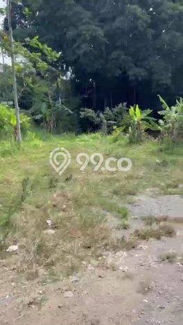 Tanah di Ampel, Boyolali Luas 2432m2 Dijual Segera Tanah di Ampel, Boyolali Luas 2432m2 Dijual Segera
