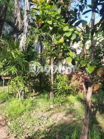 HARGA MENARIK! Tanah di Colomadu, Luas 2750m2m², Lokasi Potensial, Bebas Banjir HARGA MENARIK! Tanah di Colomadu, Luas 2750m2m², Lokasi Potensial, Bebas Banjir