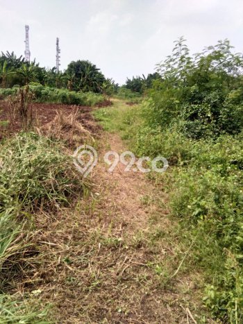 Dijual Tanah Lokasi Pasar Kemis, Tangerang Seluas 48785m2 Dijual Tanah Lokasi Pasar Kemis, Tangerang Seluas 48785m2