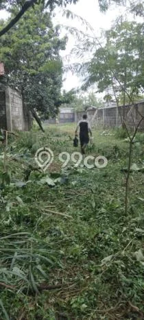 Tanah Dijual Lokasi Gunung Putri Bogor SHM Tanah Dijual Lokasi Gunung Putri Bogor SHM