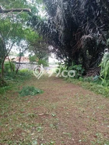 Tanah Dijual Lokasi Gunung Putri Bogor SHM Tanah Dijual Lokasi Gunung Putri Bogor SHM