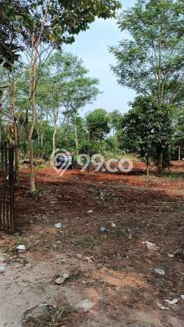 Kavling Tanah Dijual di Cisauk Tangerang Spesifikasi 2988m2 Kavling Tanah Dijual di Cisauk Tangerang Spesifikasi 2988m2