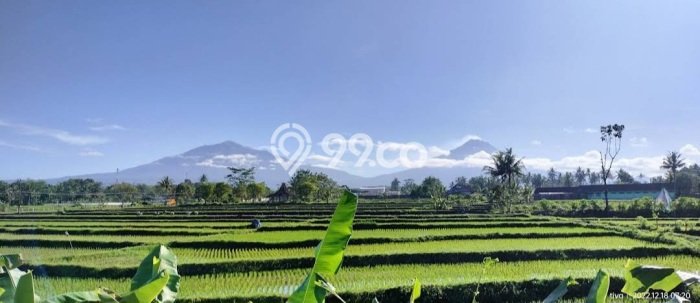 Hotel di Magelang Tengah, Luas 7000m2m², Lokasi Strategis Hotel di Magelang Tengah, Luas 7000m2m², Lokasi Strategis