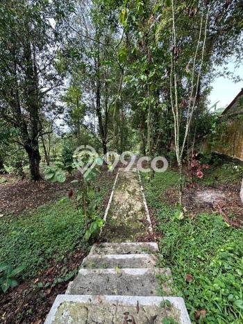 DIJUAL! Vila Kawasan Trawas, Area 5200m2m², Posisi Strategis DIJUAL! Vila Kawasan Trawas, Area 5200m2m², Posisi Strategis