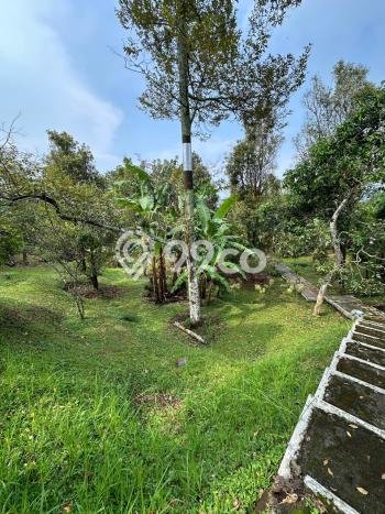 DIJUAL! Vila Kawasan Trawas, Area 5200m2m², Posisi Strategis DIJUAL! Vila Kawasan Trawas, Area 5200m2m², Posisi Strategis