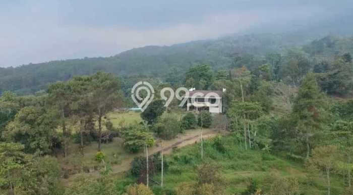 Tersedia Vila Kawasan Trawas, Luas 4m2m², Lingkungan Nyaman Tersedia Vila Kawasan Trawas, Luas 4m2m², Lingkungan Nyaman