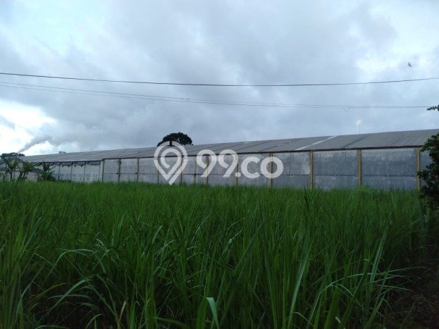 Gudang Dijual Lokasi Stratagis di Lawang Malang Cocok untuk Investasi Gudang Dijual Lokasi Stratagis di Lawang Malang Cocok untuk Investasi
