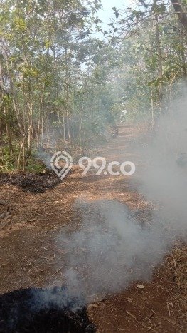 Lahan Strategis di Kedawung Dijual dengan Luas 1755m2 Lahan Strategis di Kedawung Dijual dengan Luas 1755m2