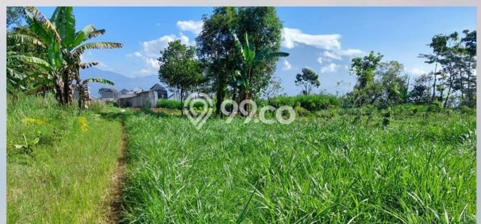 Lahan Kosong Dijual di Batu, Batu, Luas 280m2 Area Strategis Lahan Kosong Dijual di Batu, Batu, Luas 280m2 Area Strategis