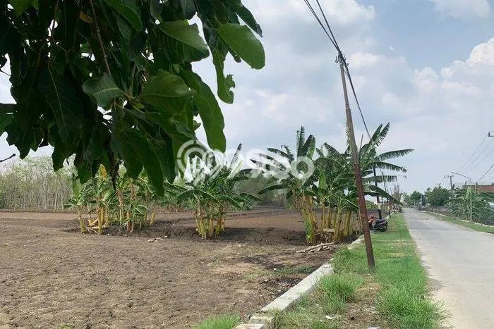 Kavling Tanah di Gresik Dijual Luas 5500m2 Legalitas SHM Kavling Tanah di Gresik Dijual Luas 5500m2 Legalitas SHM