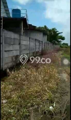 Tanah di Widang, Tuban Luas 40000m2 Dijual Segera Tanah di Widang, Tuban Luas 40000m2 Dijual Segera