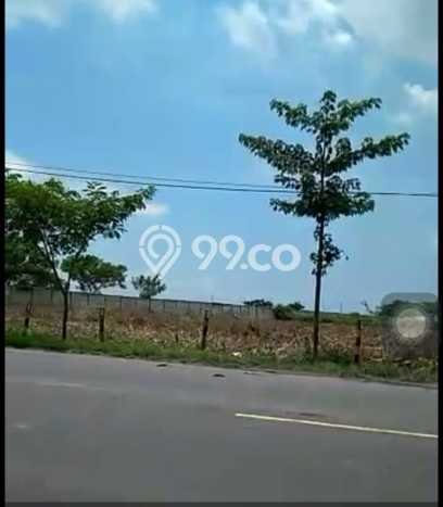 Tanah di Widang, Tuban Luas 40000m2 Dijual Segera Tanah di Widang, Tuban Luas 40000m2 Dijual Segera