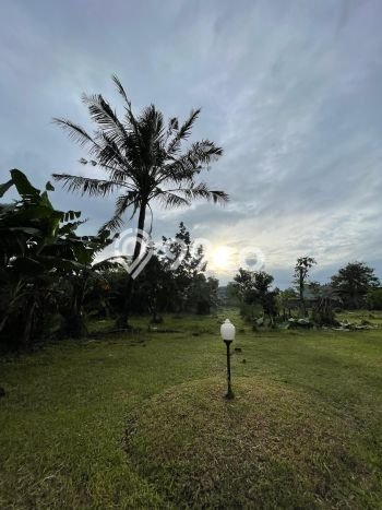 Tanah Dijual Lokasi Pamulang, Tangerang Selatan Luas 1665m2 Legalitas Aman Tanah Dijual Lokasi Pamulang, Tangerang Selatan Luas 1665m2 Legalitas Aman