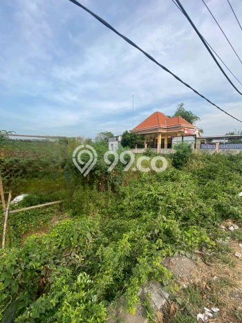 Kavling Tanah di Cerme Dijual Luas 29000m2 Legalitas SHM Kavling Tanah di Cerme Dijual Luas 29000m2 Legalitas SHM